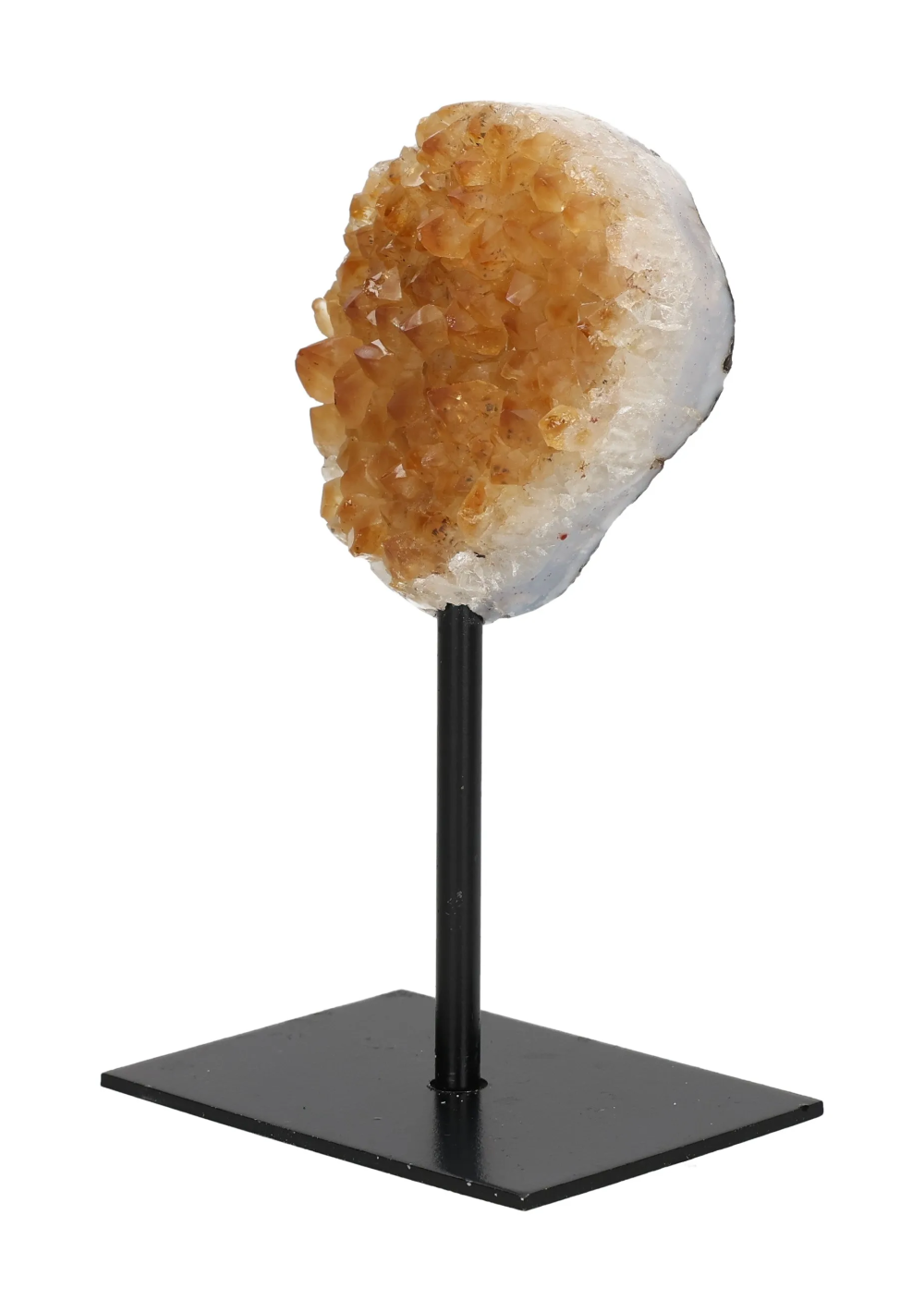 orbitvu|type:image2d