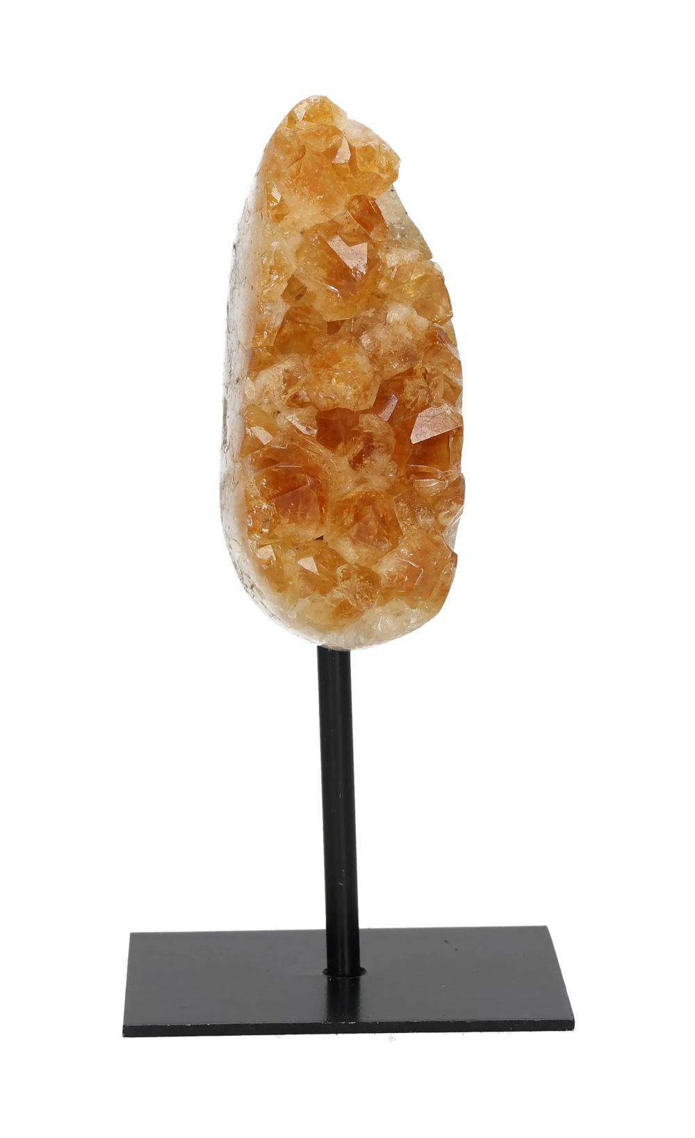 orbitvu|type:image2d