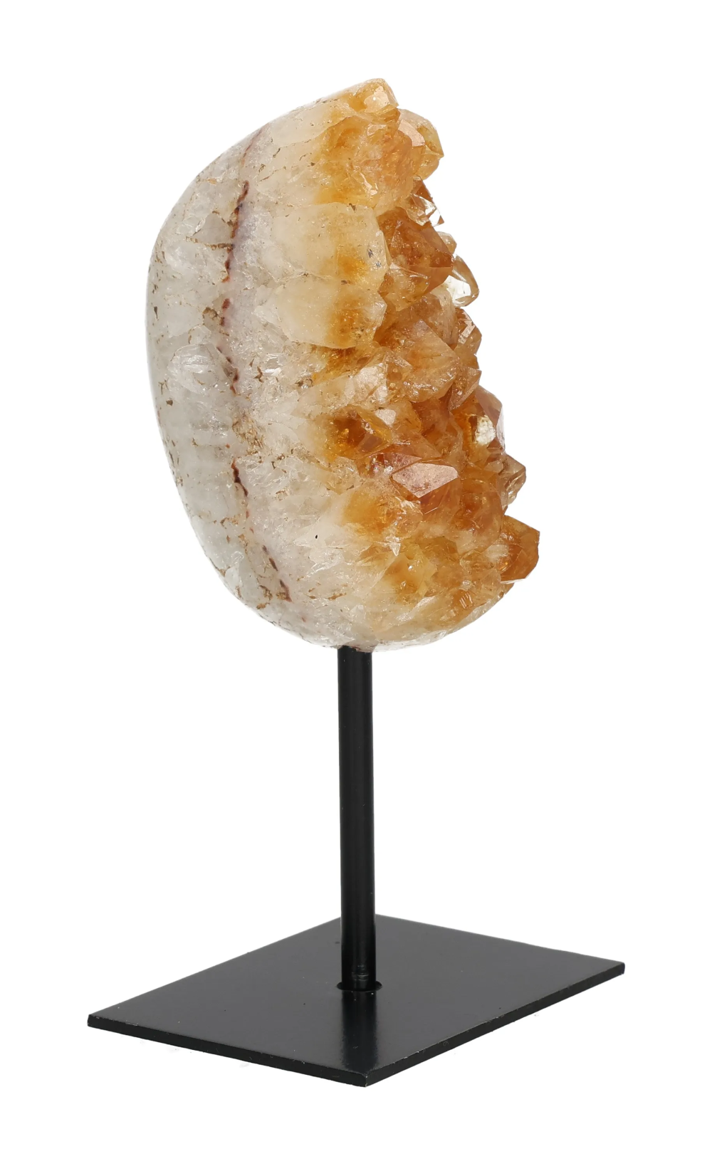 orbitvu|type:image2d