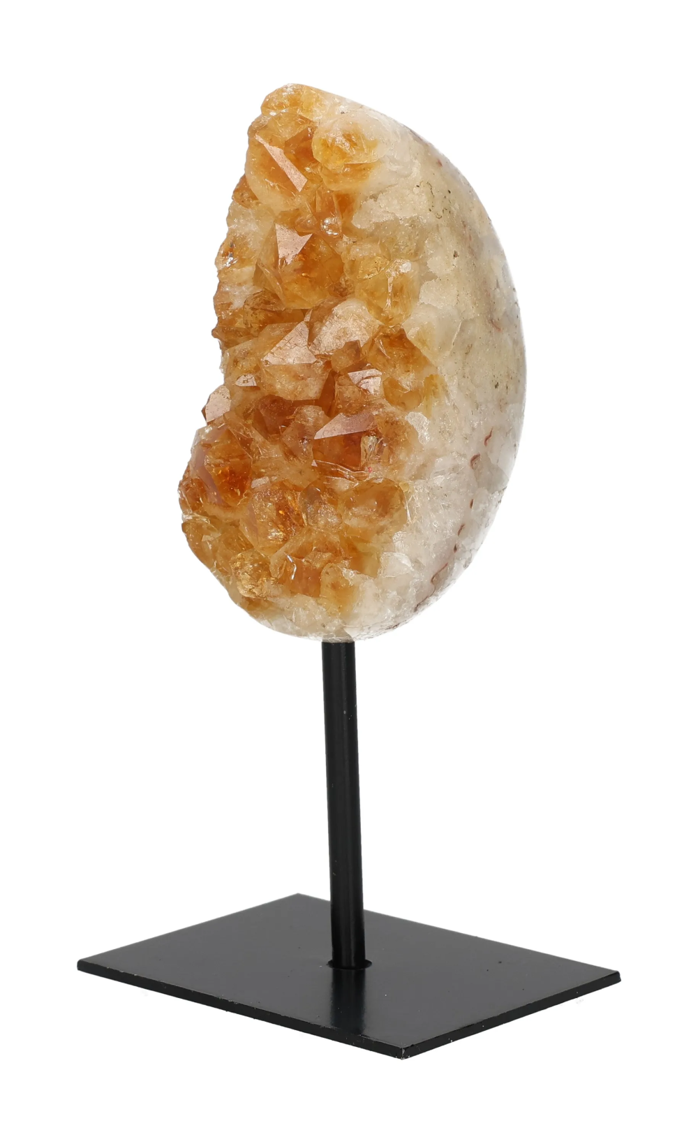 orbitvu|type:image2d