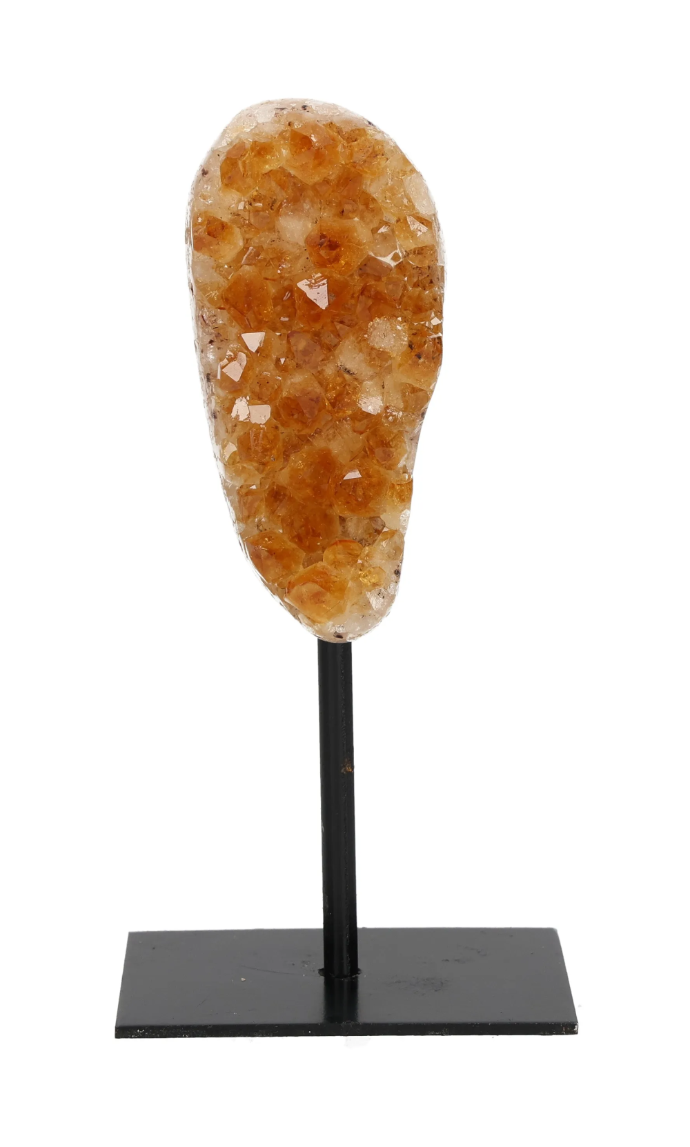 orbitvu|type:image2d