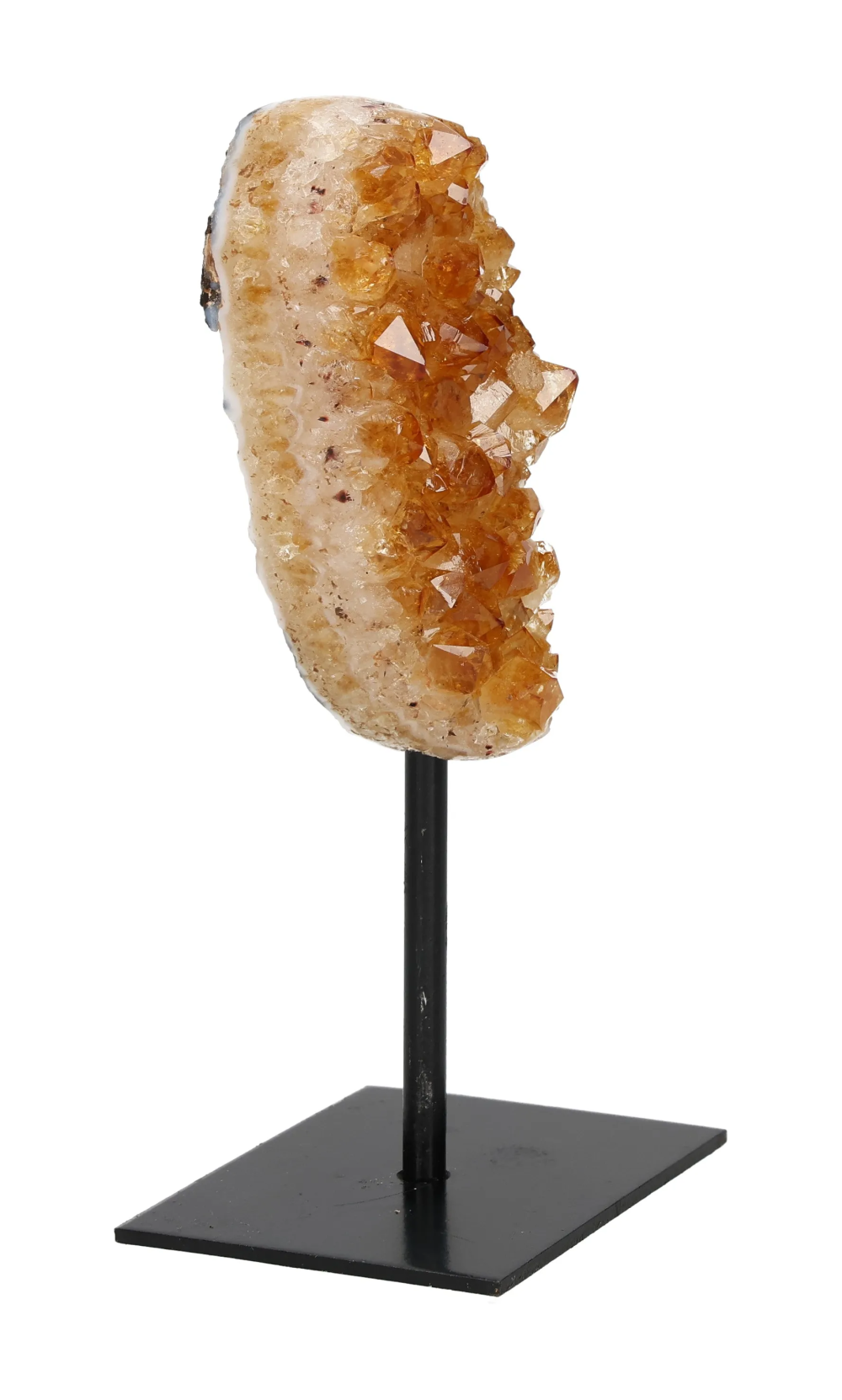 orbitvu|type:image2d