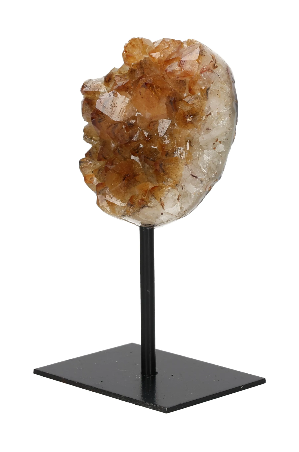 orbitvu|type:image2d