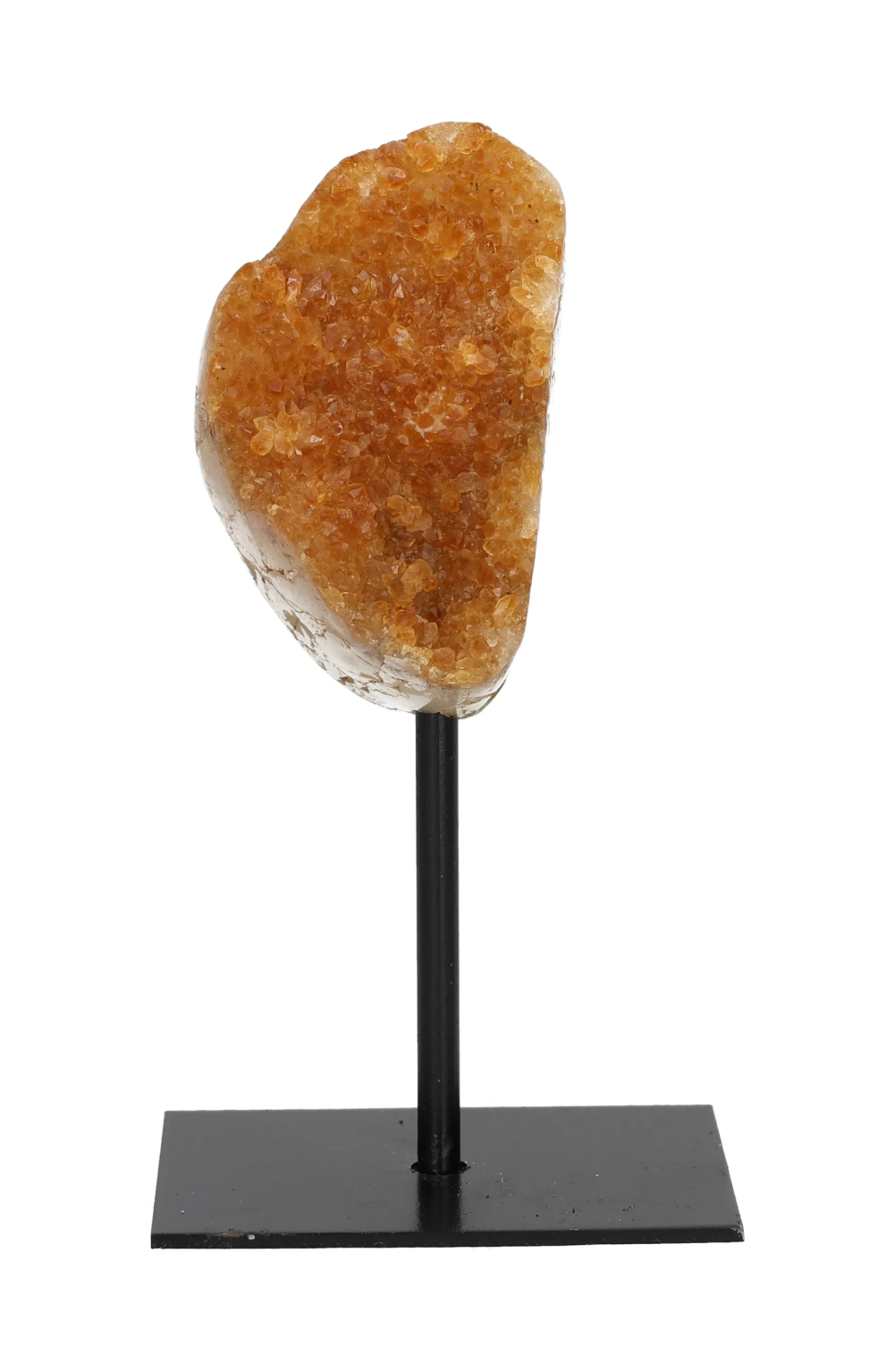 orbitvu|type:image2d