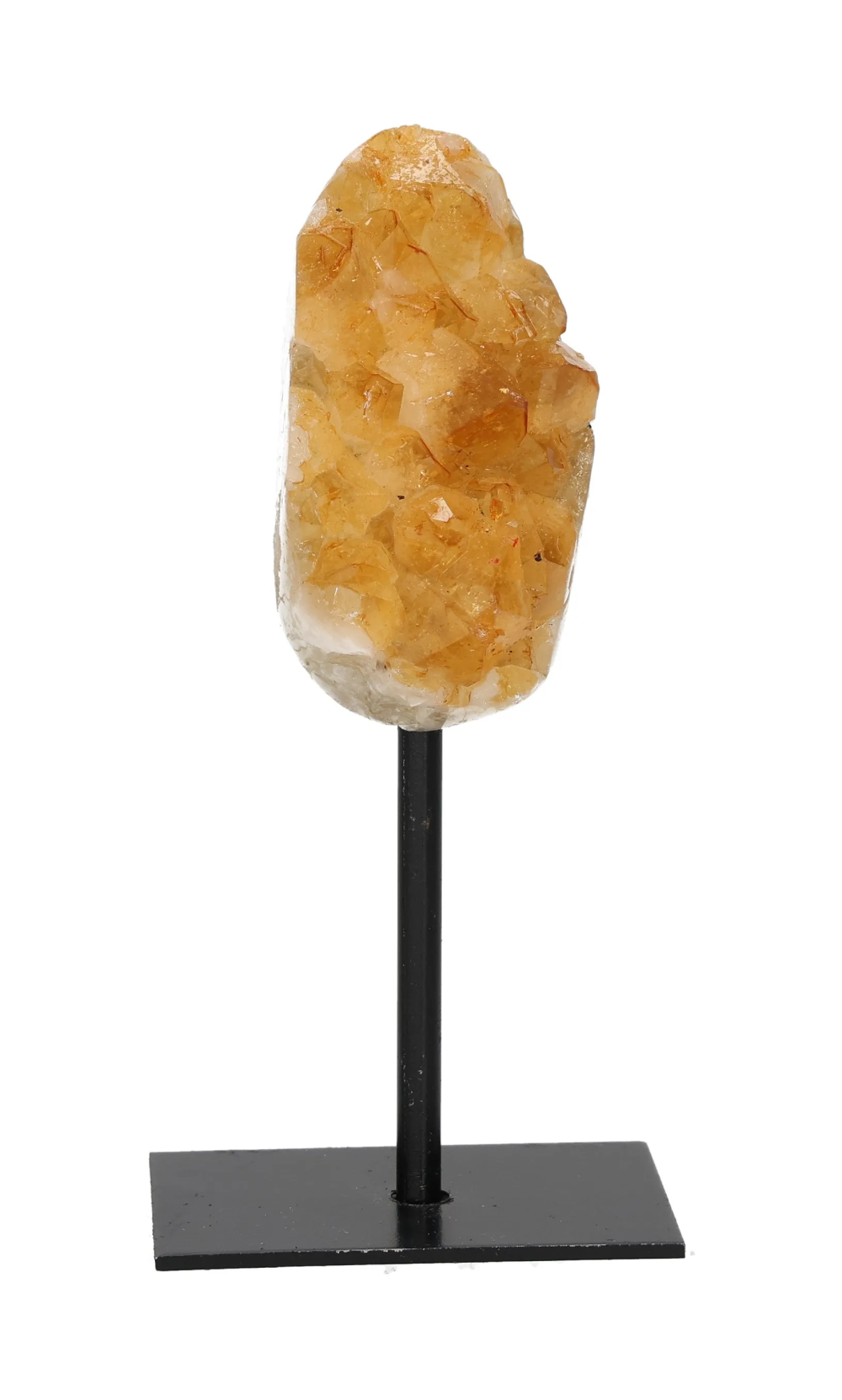 orbitvu|type:image2d