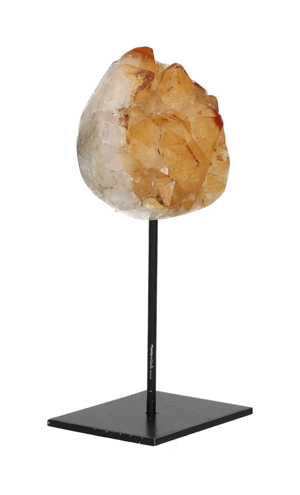 orbitvu|type:image2d