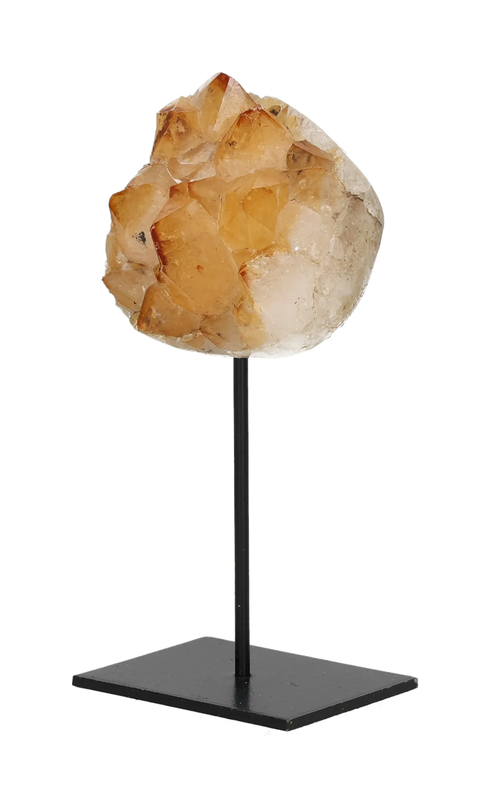 orbitvu|type:image2d