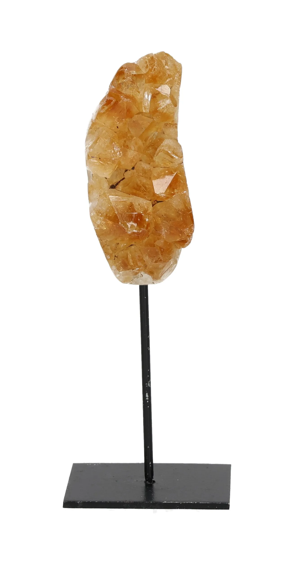 orbitvu|type:image2d