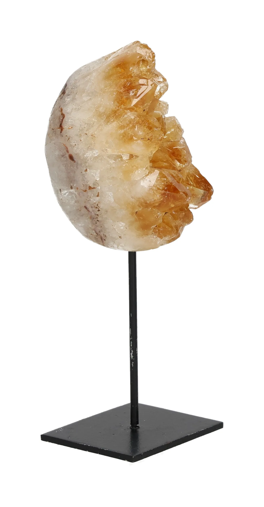 orbitvu|type:image2d