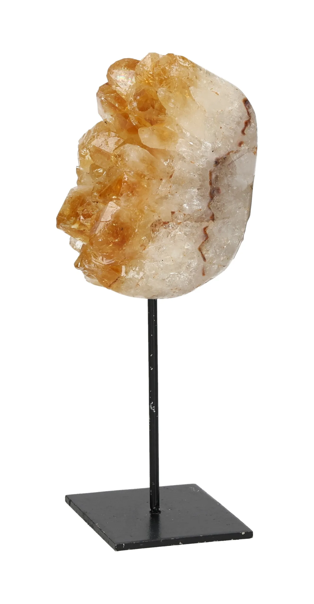 orbitvu|type:image2d