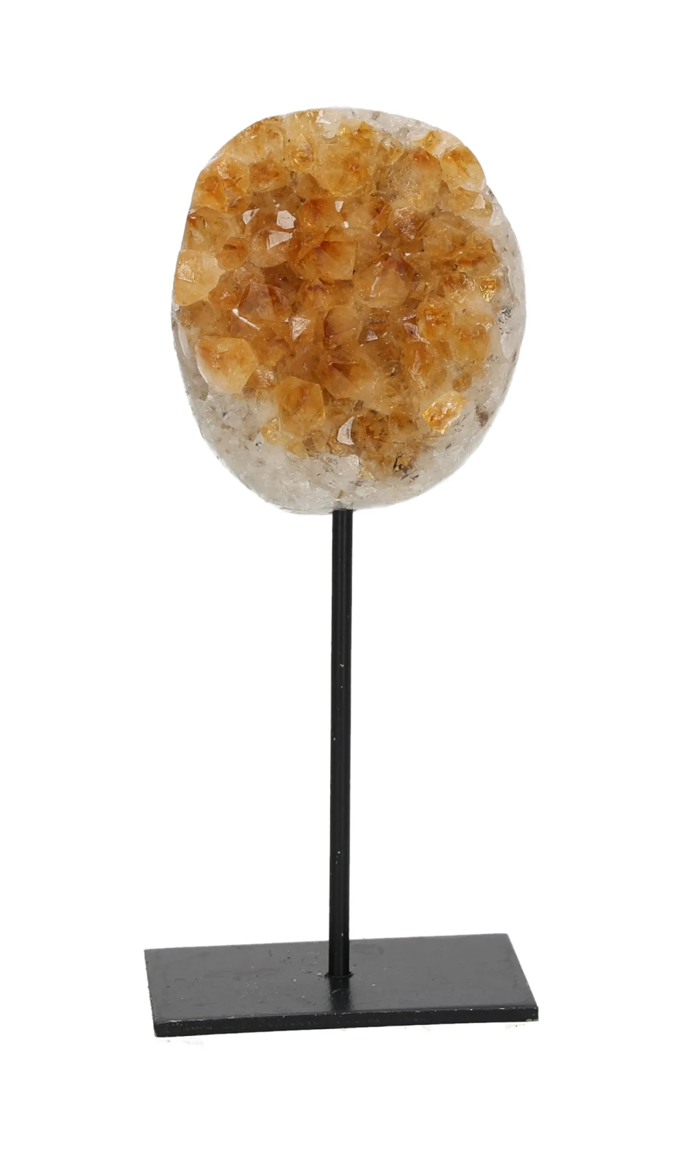 orbitvu|type:image2d