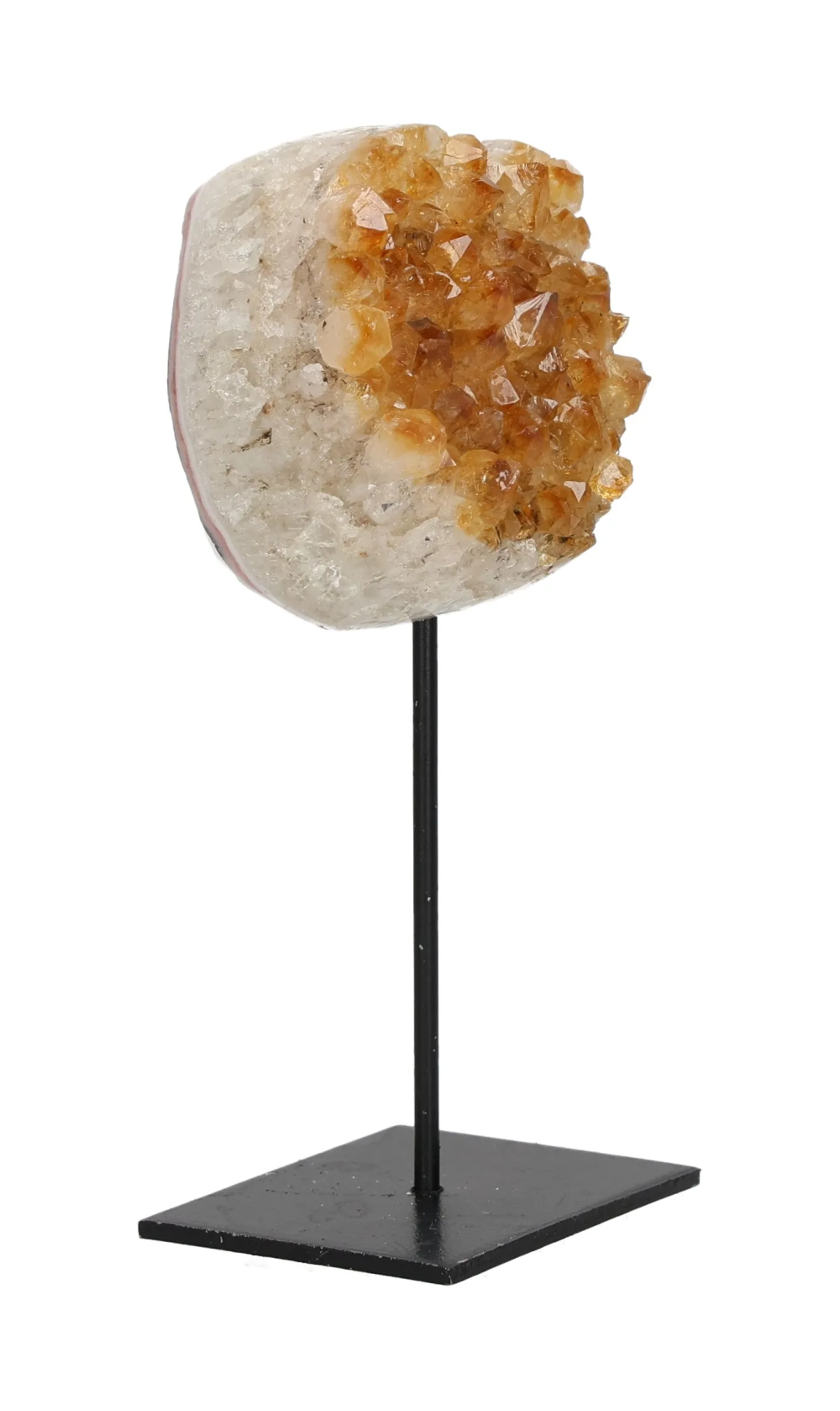 orbitvu|type:image2d