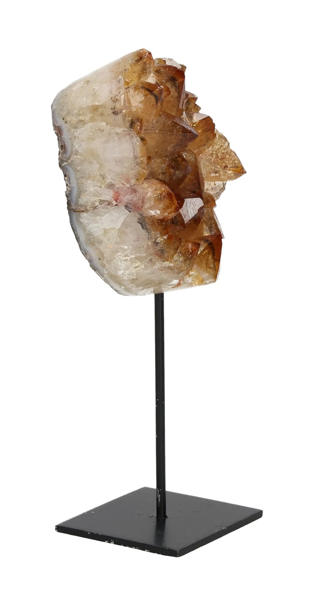 orbitvu|type:image2d