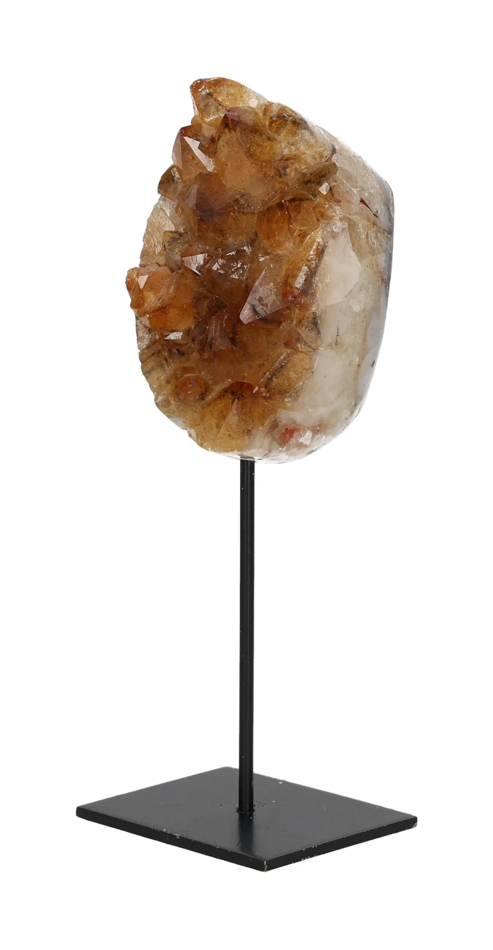 orbitvu|type:image2d