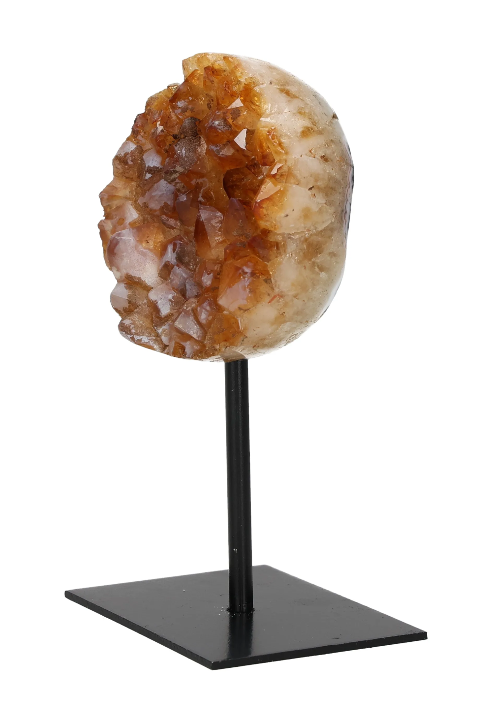 orbitvu|type:image2d