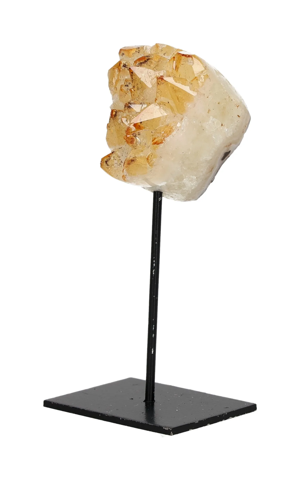 orbitvu|type:image2d