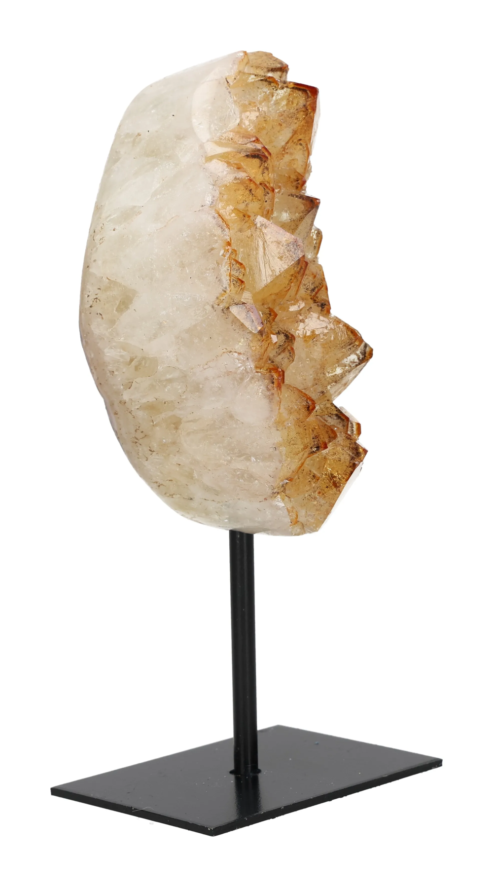 orbitvu|type:image2d