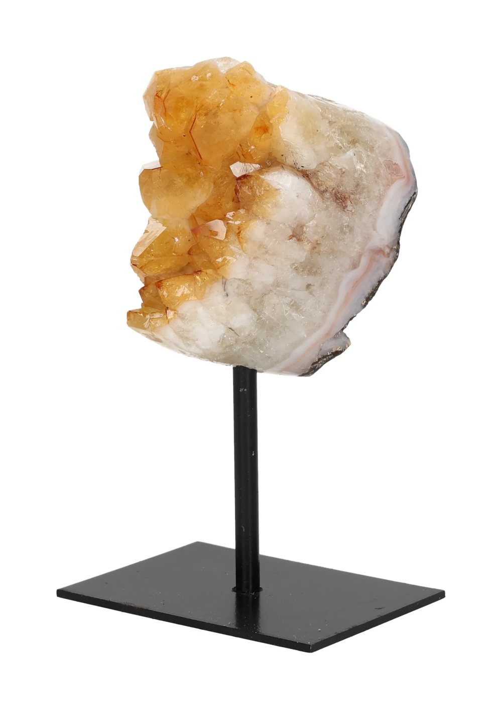 orbitvu|type:image2d