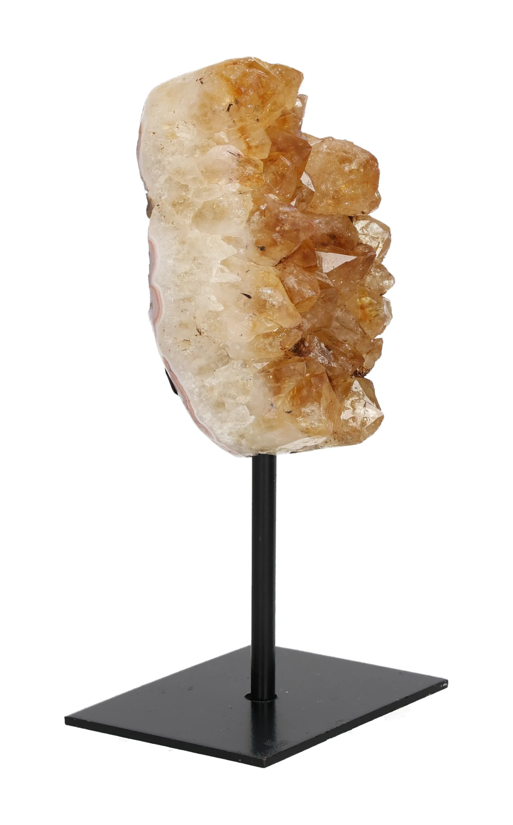 orbitvu|type:image2d