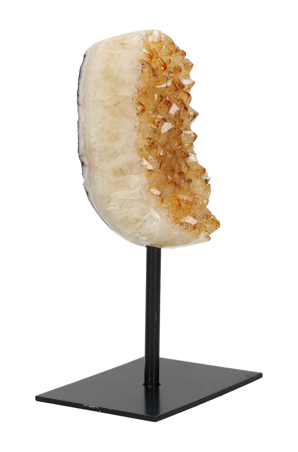 orbitvu|type:image2d