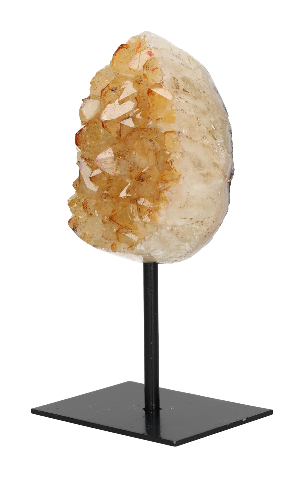 orbitvu|type:image2d