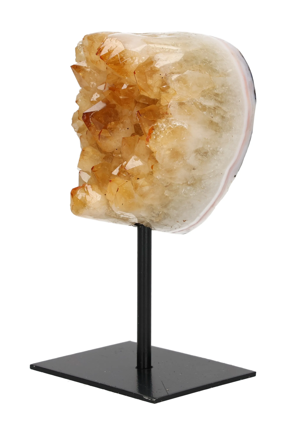 orbitvu|type:image2d