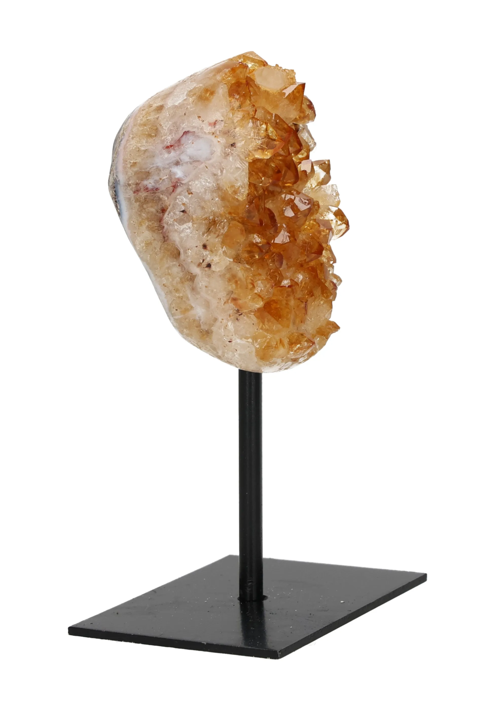 orbitvu|type:image2d