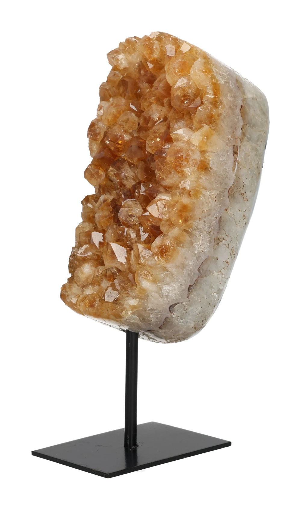 orbitvu|type:image2d