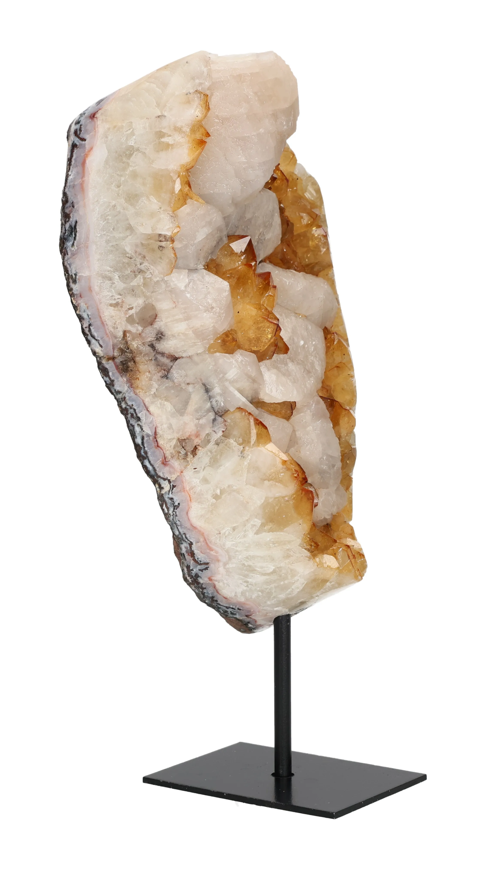 orbitvu|type:image2d