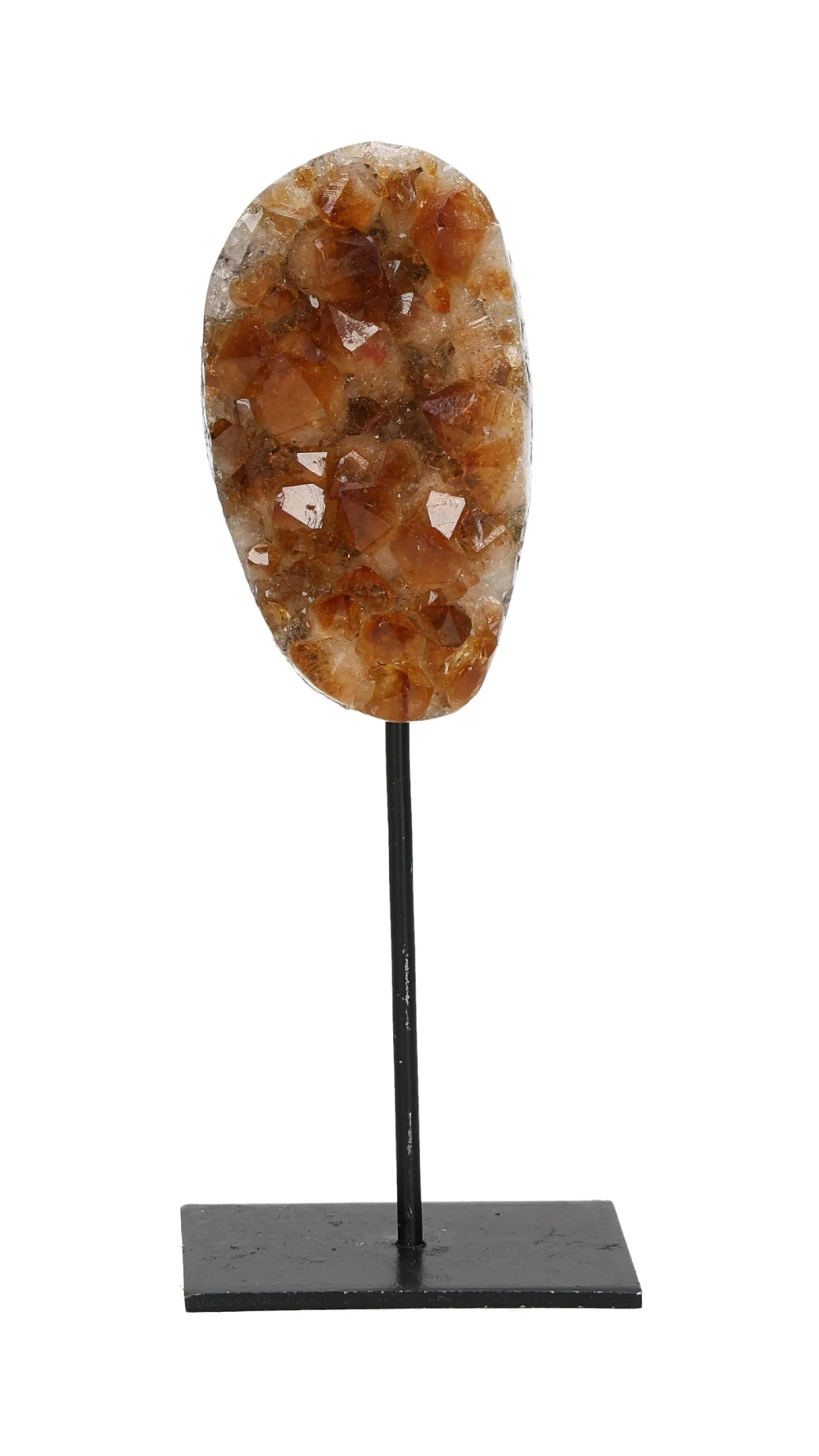 orbitvu|type:image2d