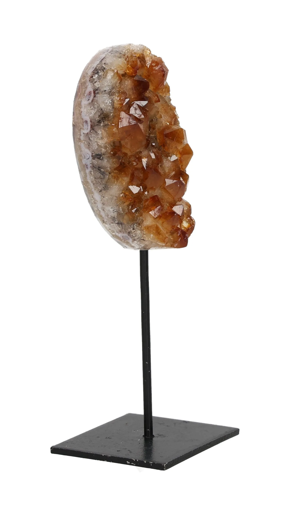 orbitvu|type:image2d