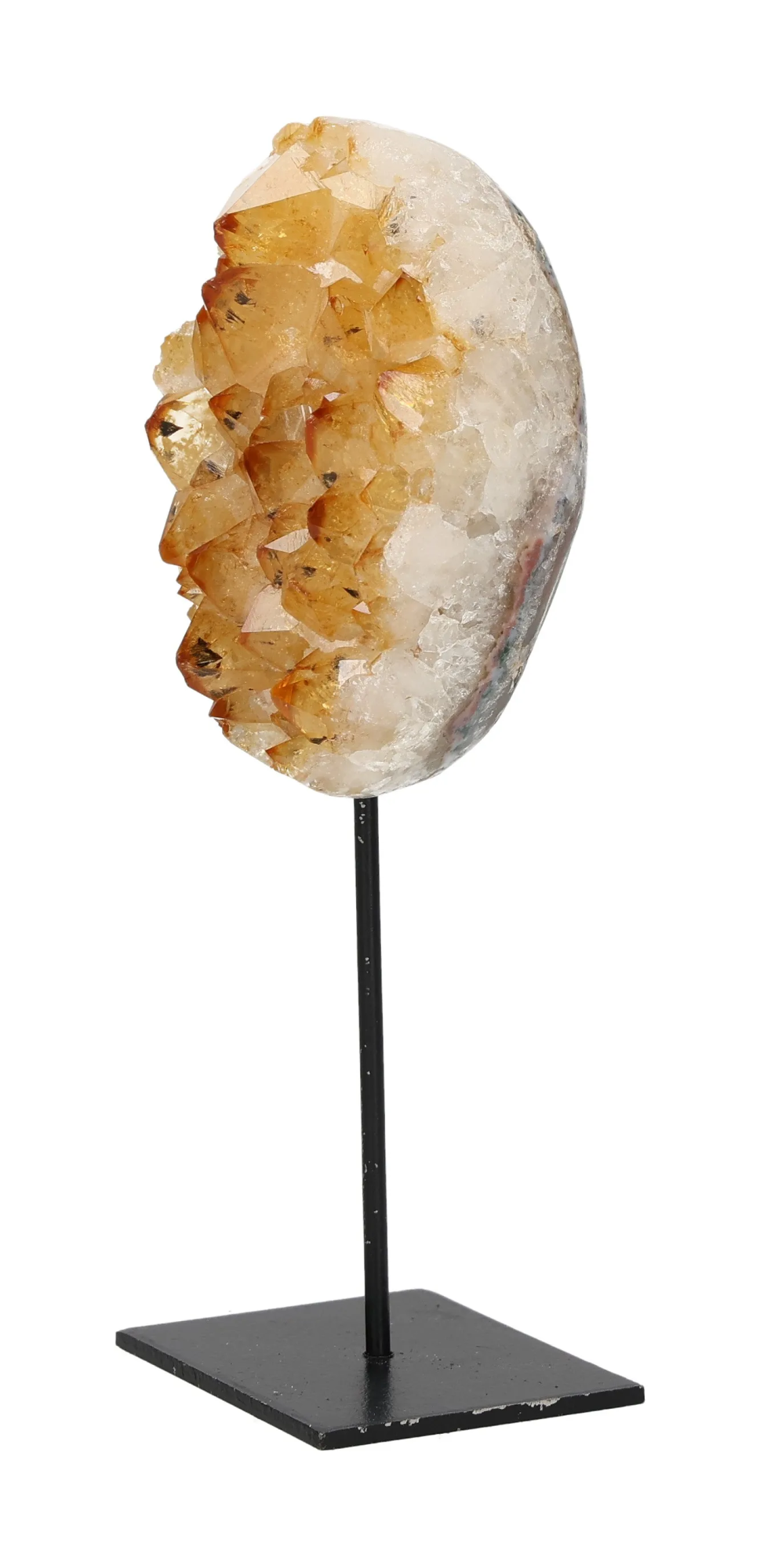 orbitvu|type:image2d