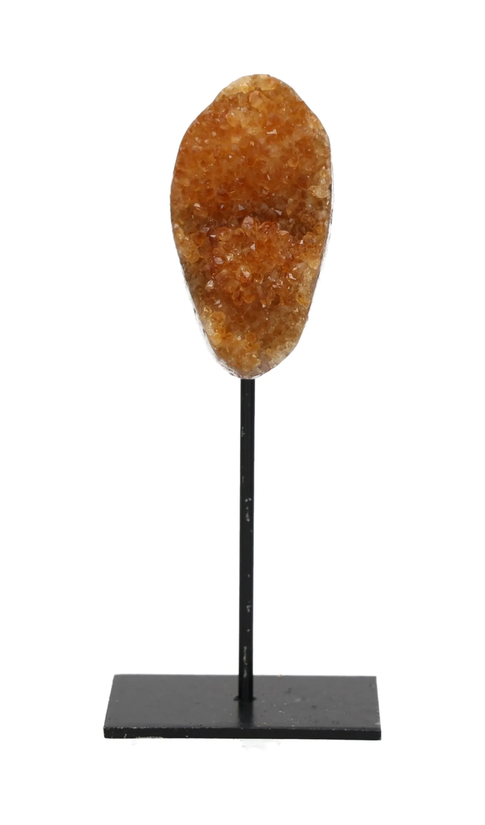 orbitvu|type:image2d