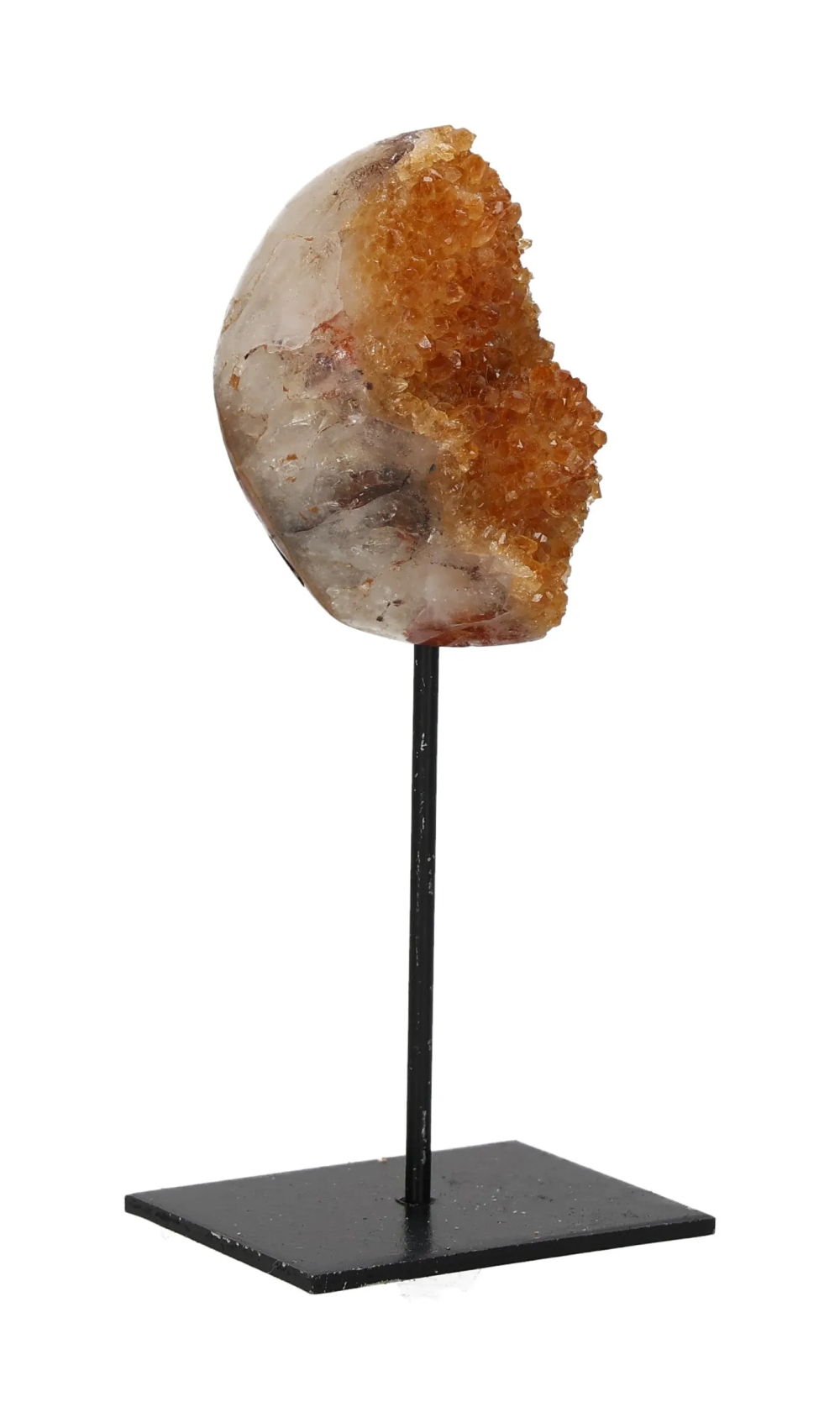 orbitvu|type:image2d