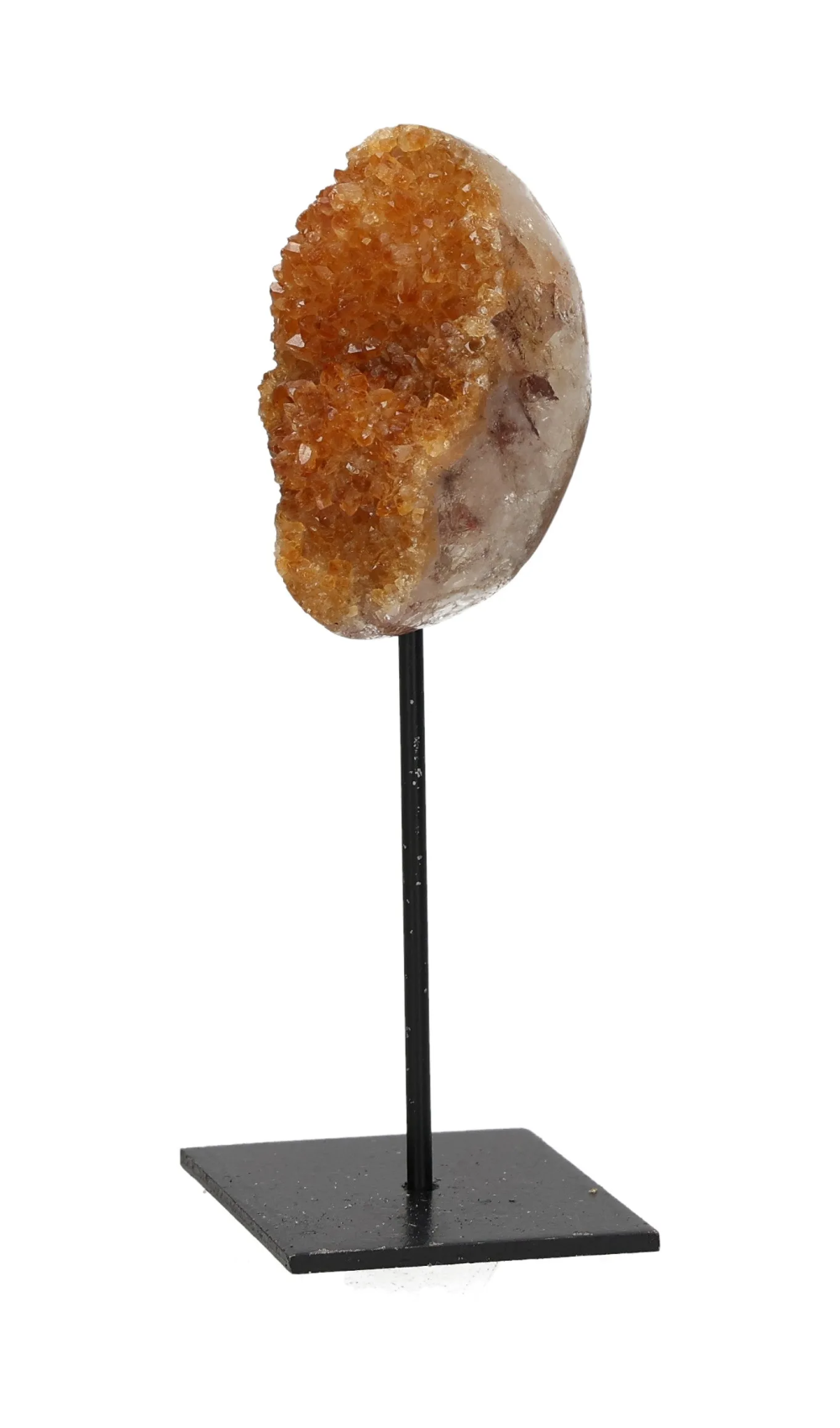 orbitvu|type:image2d