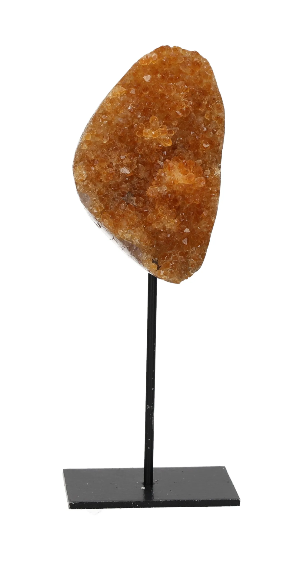 orbitvu|type:image2d