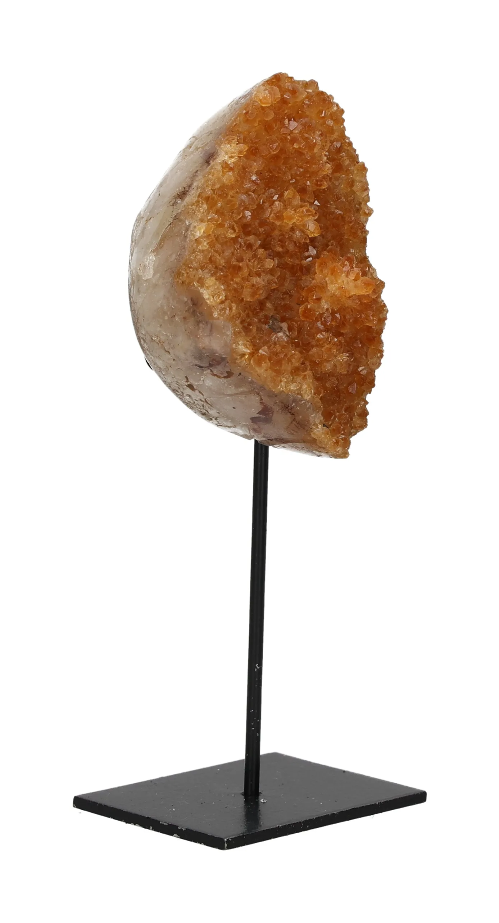 orbitvu|type:image2d