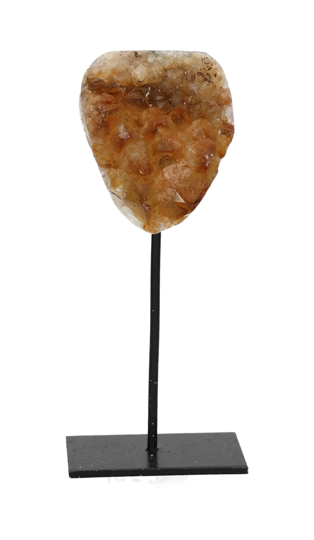 orbitvu|type:image2d