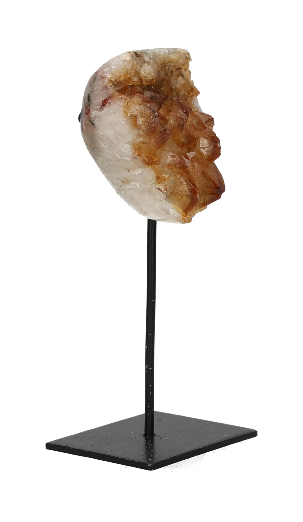 orbitvu|type:image2d