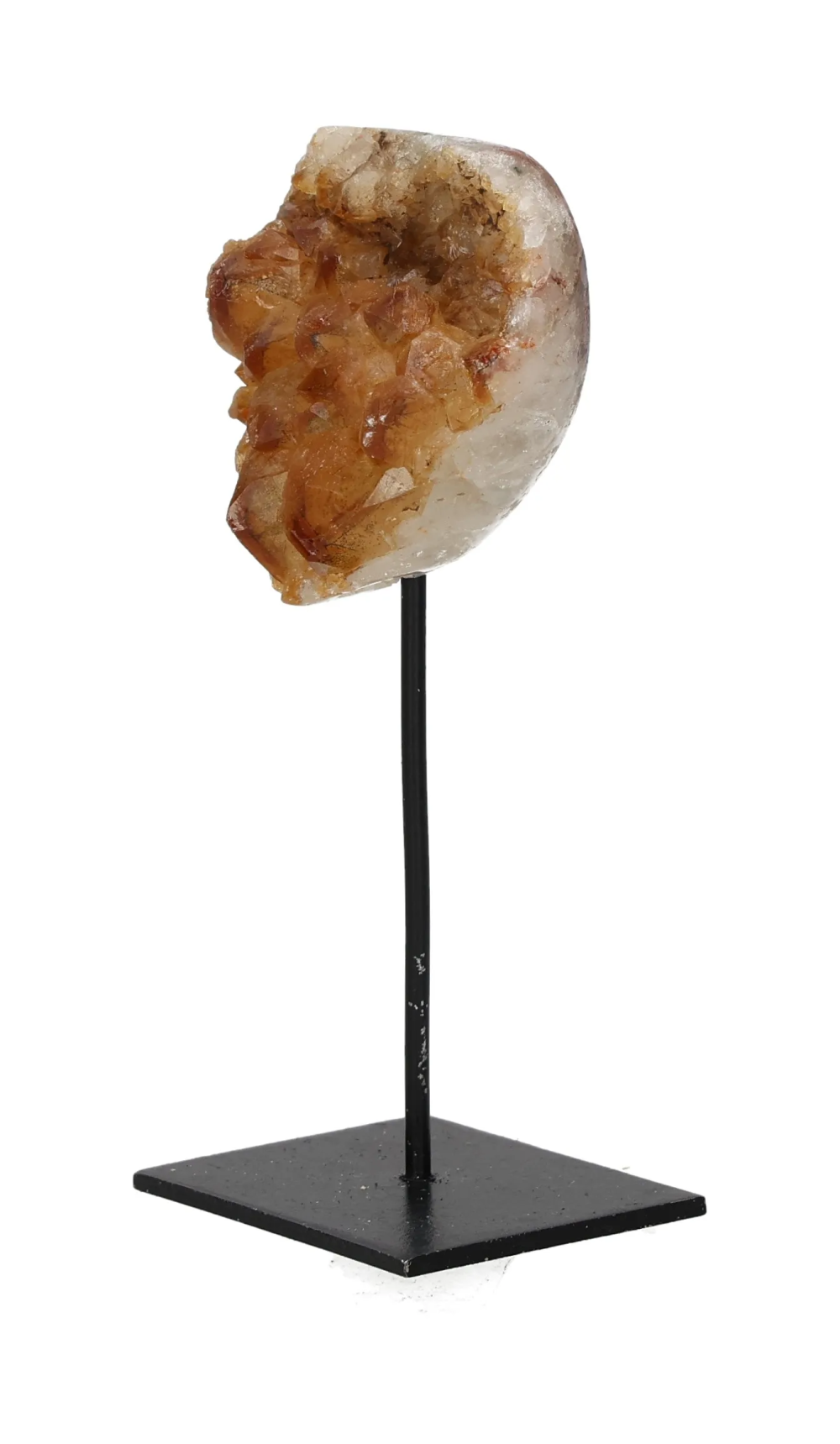 orbitvu|type:image2d