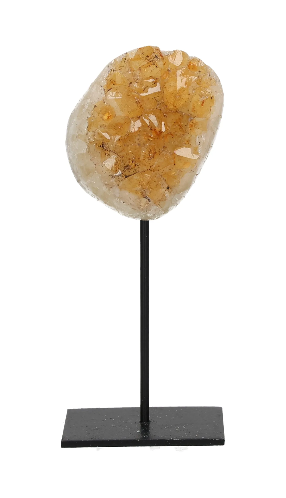 orbitvu|type:image2d