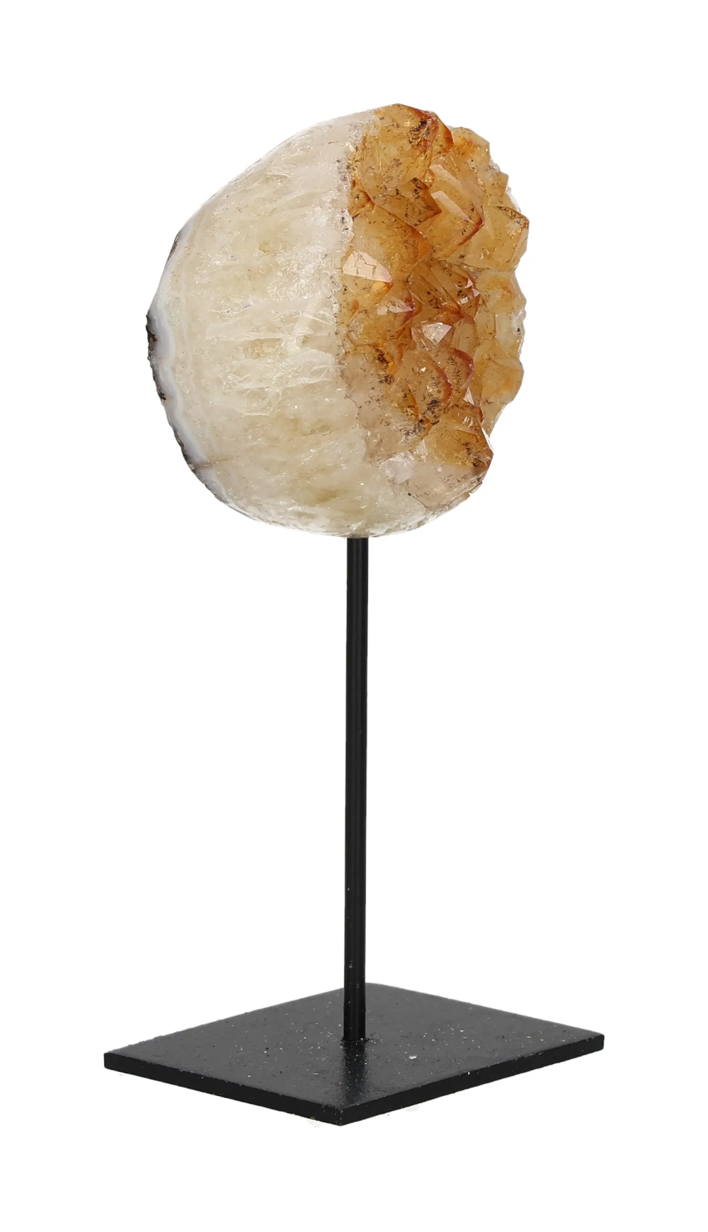 orbitvu|type:image2d