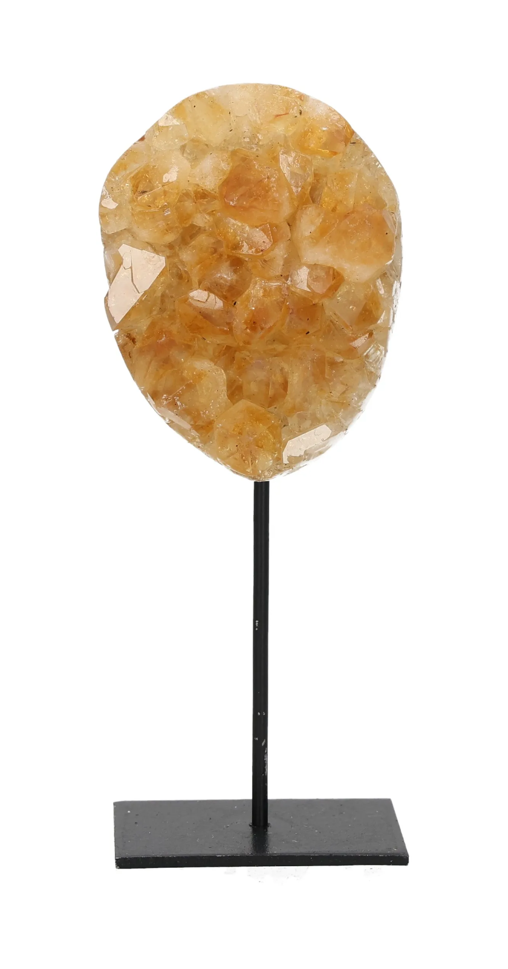 orbitvu|type:image2d