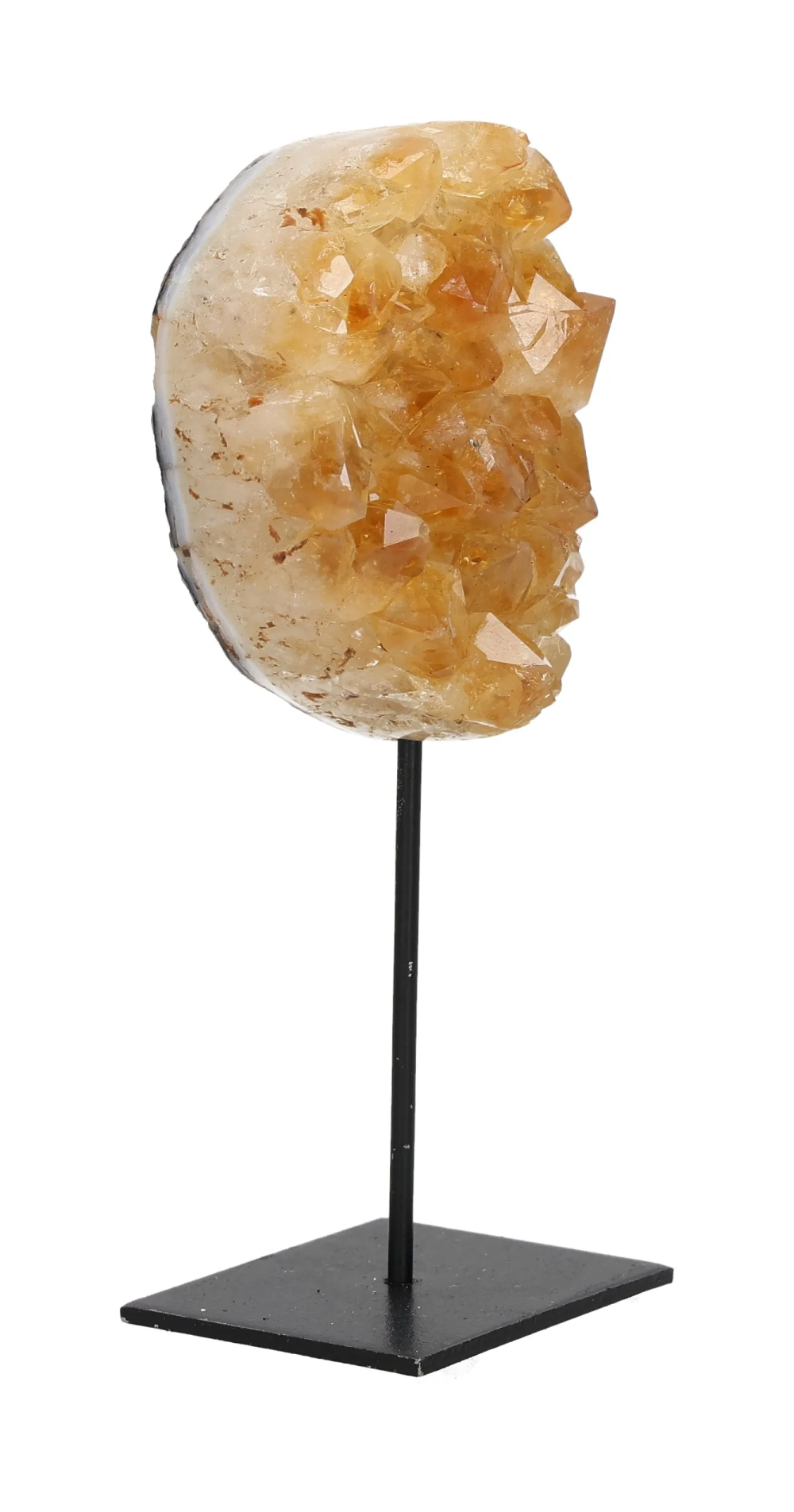 orbitvu|type:image2d