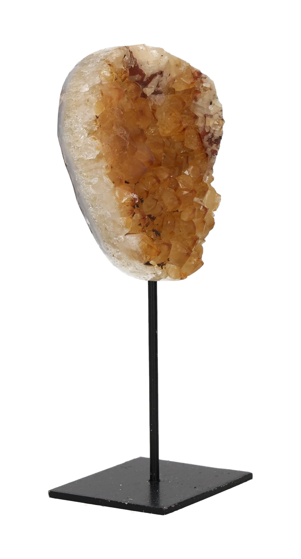 orbitvu|type:image2d