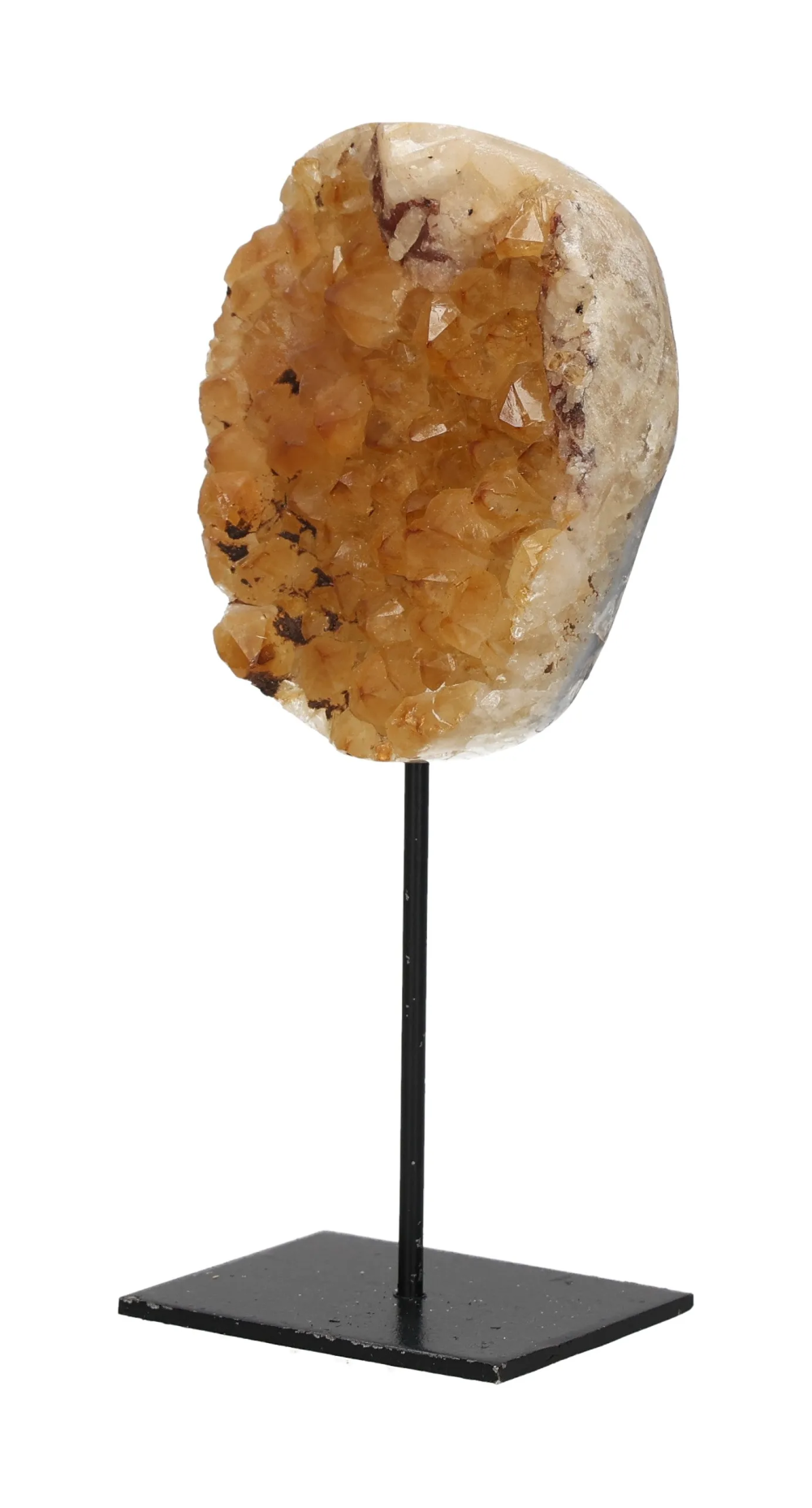 orbitvu|type:image2d