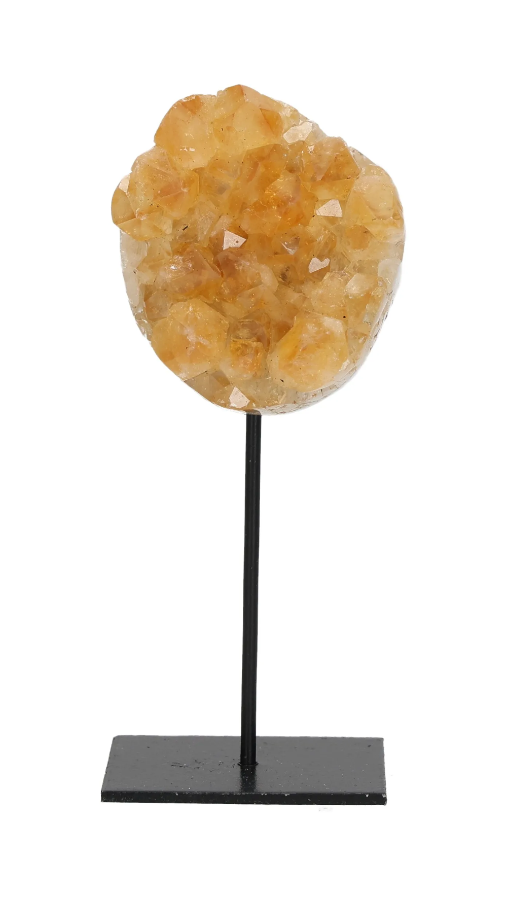 orbitvu|type:image2d