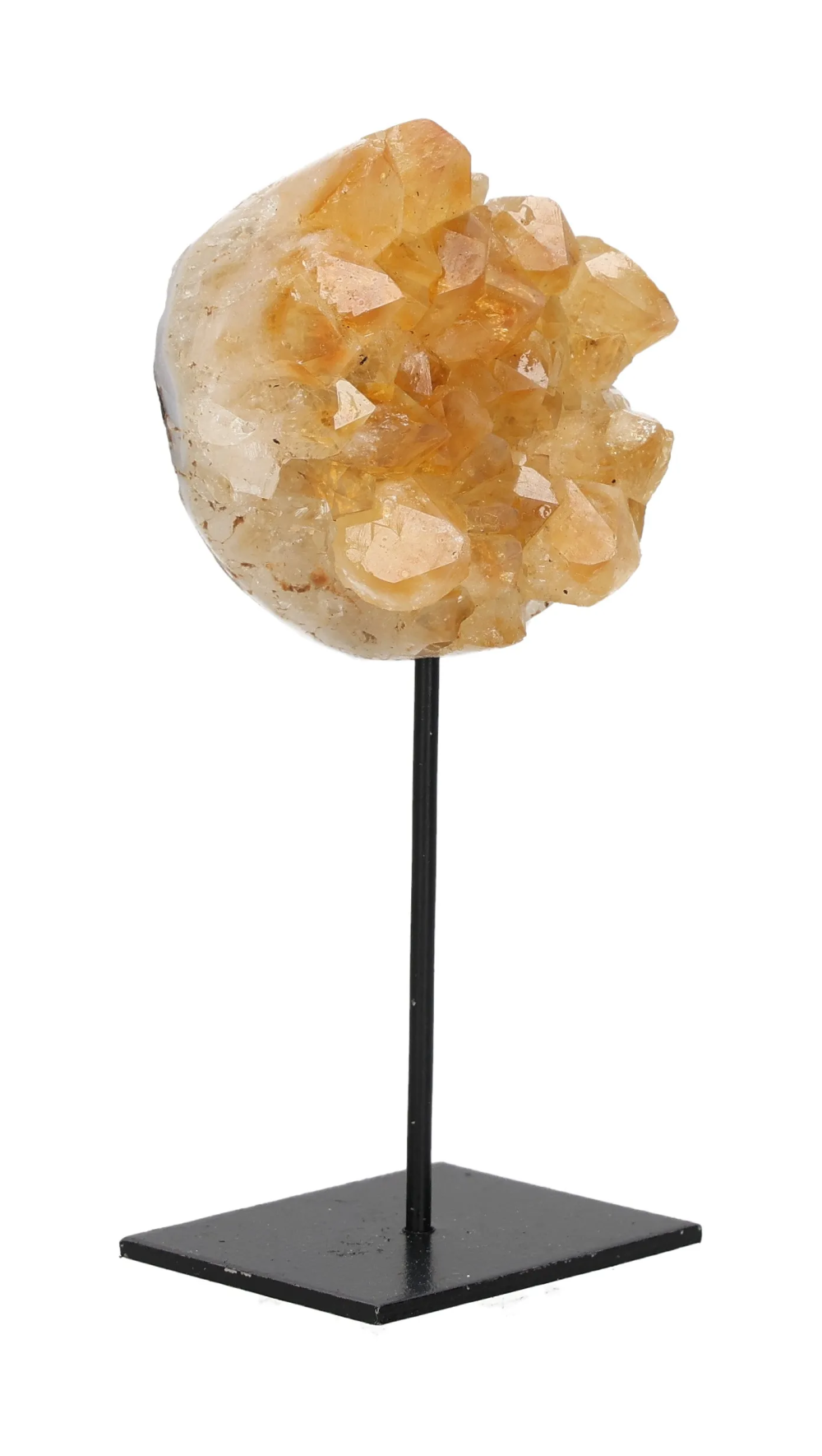 orbitvu|type:image2d