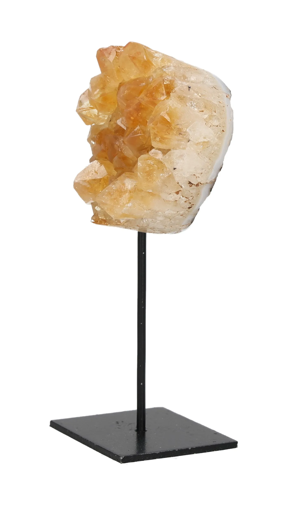 orbitvu|type:image2d