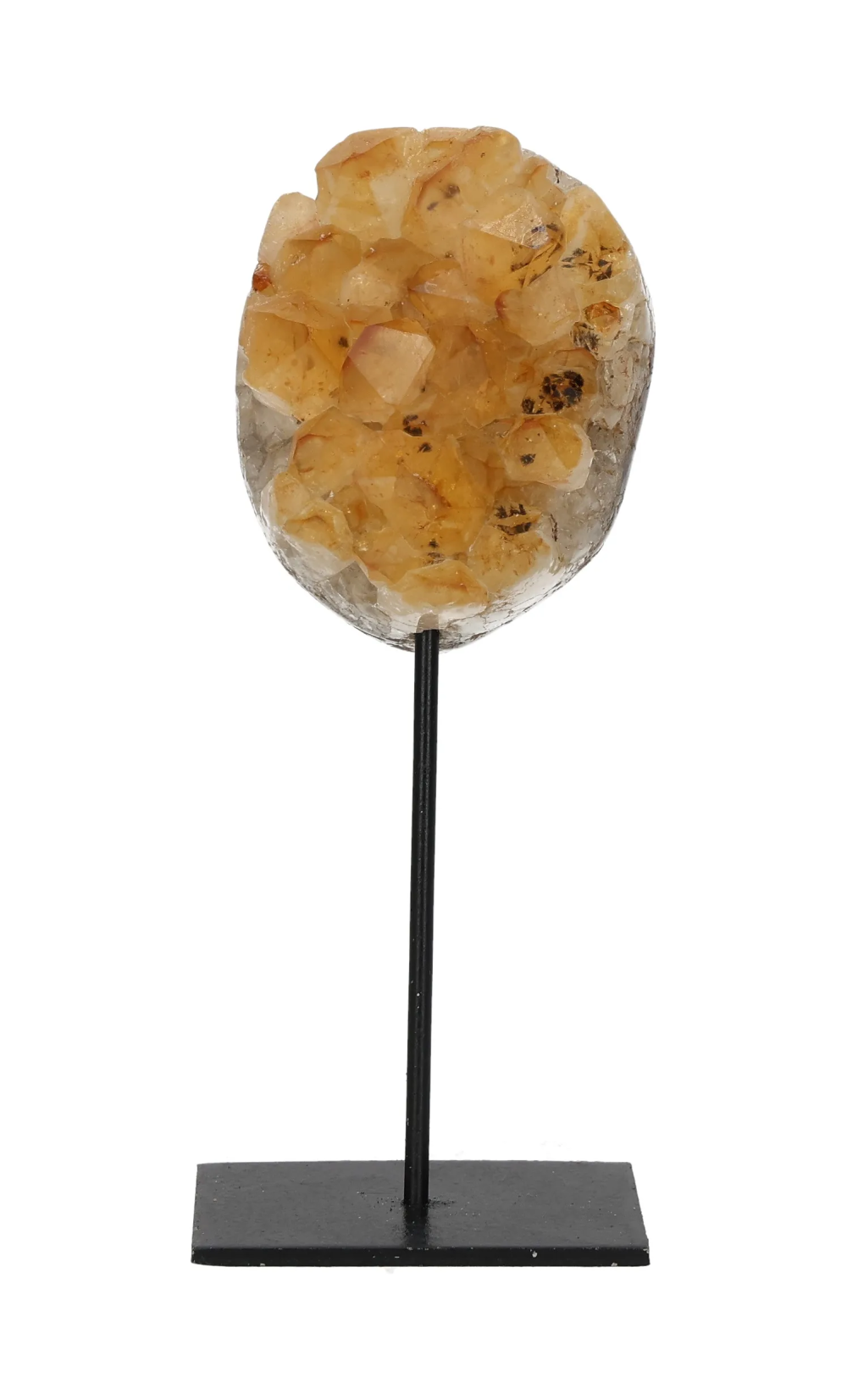 orbitvu|type:image2d